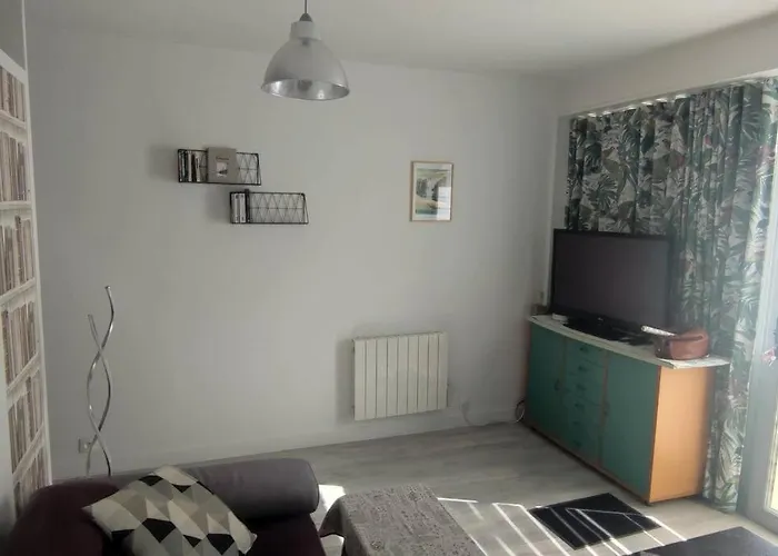 Appartement Cosy 2 Pieces Hyper Centre
